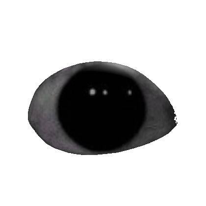 Another watching void eye.